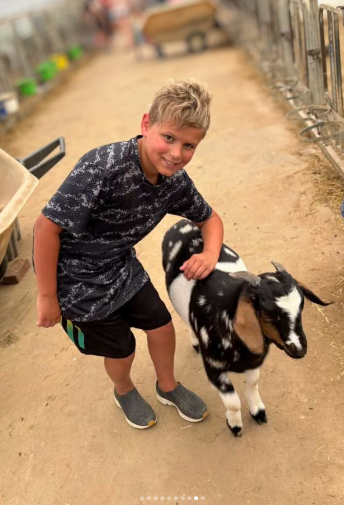 Publisher Rachael Benion's son at a farm. image from instagram