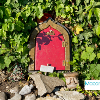 Image of Build a Bird Feeder
