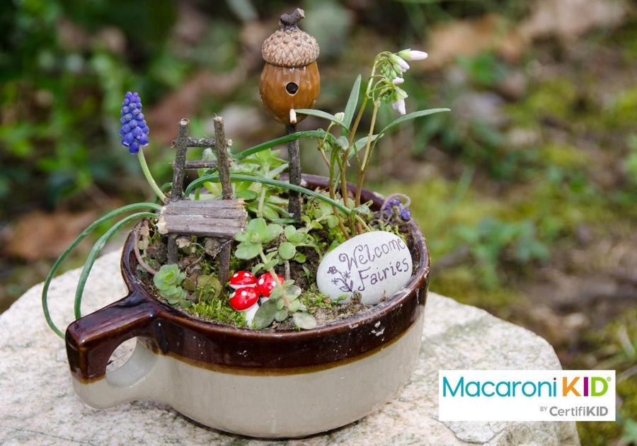 Fairy Garden in a Cup