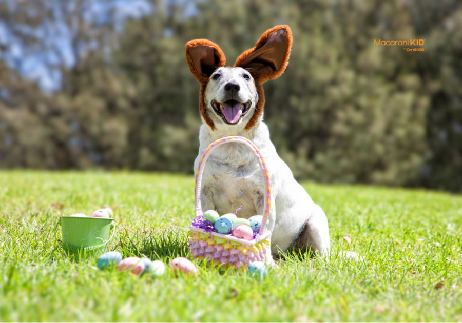 silly dog decorated as easter bunny